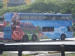 malyasiabus.jpg