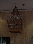 marinamandarinbird.jpg