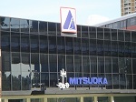 mitsuoka2.jpg
