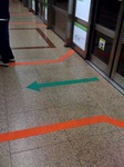mrtlinesred&green.jpg