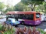 naturalgasbus1.jpg