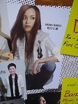 popvillageposter2.jpg