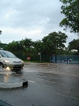 roadrain2.jpg