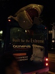 sharkbus1.jpg