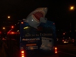sharkbus3.jpg