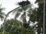 signal4.jpg