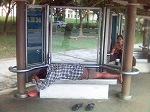 sleepingatbusstop.jpg
