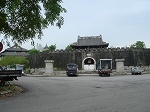 tandynasty1.jpg