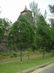 tandynasty2.jpg