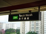 tarahmerah.jpg
