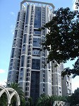 thebayshore2.jpg