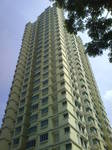 thomsoneroasia2.JPG