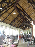 treetopnsbanyantreebintan2.JPG