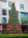 xmasparagon.jpg