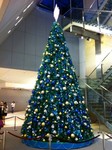 xmastreecitylink.JPG