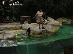 zooperformance.jpg