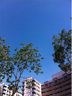 image-20121120154019.png