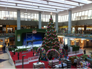 image-20121127164643.png
