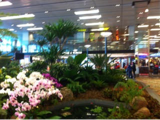 image-20121213112408.png
