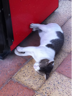 image-20130112204651.png