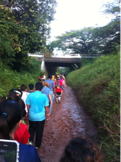 image-20130127112321.png