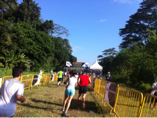 image-20130127112356.png