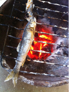 image-20130210153554.png