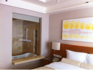 image-20130523145904.png