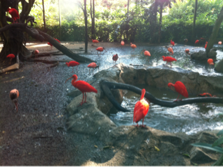image-20130707093737.png