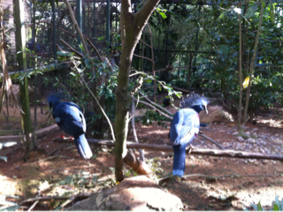 image-20130707093757.png