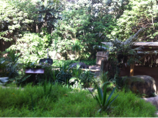 image-20130707093818.png