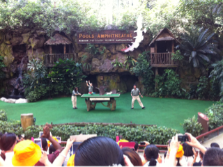 image-20130707110341.png