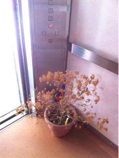 image-20130730163900.png