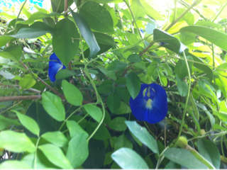 image-20131029234749.png