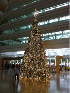 image-20131204181427.png