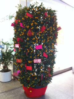 image-20140130171708.png