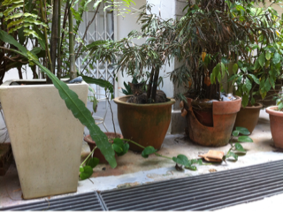 image-20140310132226.png