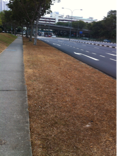image-20140311160710.png